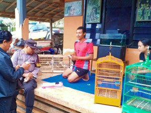 Laptop dan Enam Ekor Burung Warga Sebudi Digondol Maling