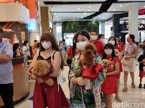 Pesta mewah perayaan ultah anjing 'anak bulu' alias anabul yang digelar crazy rich Surabaya