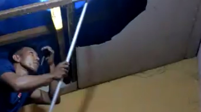 Petugas mengevakuasi ular piton 3 meter di plafon rumah warga di Parepare, Sulsel.