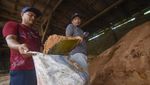 PLN NTB Produksi 4.205 MWh Energi Bersih dari Biomassa