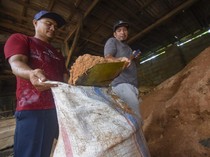 Energi Ini Bisa Gantikan Peran Batu Bara buat Produksi Listrik