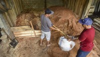 Dua pekerja mengumpulkan serbuk kayu untuk dijadikan sebagai substitusi bahan bakar Pembangkit Listrik Tenaga Uap (PLTU) di Desa Sintung, Kecamatan Pringgarata, Lombok Tengah, NTB.