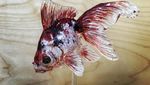 Sayang Dimakan, Permen Berbentuk Ikan hingga Kuda Putih yang Cantik Ini