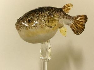 Sayang Dimakan, Permen Berbentuk Ikan hingga Kuda Putih yang Cantik Ini