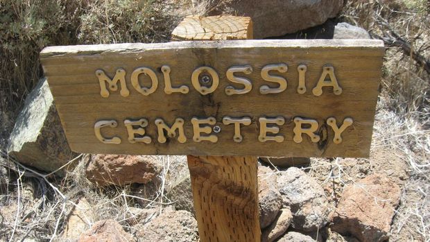 Signs mark the Molossia cemetery for pets.  (Photo by Colleen Mastony/Chicago Tribune/Tribune News Service via Getty Images)