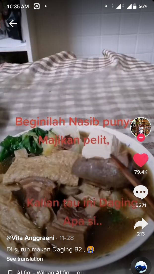Dijebak makan babi
