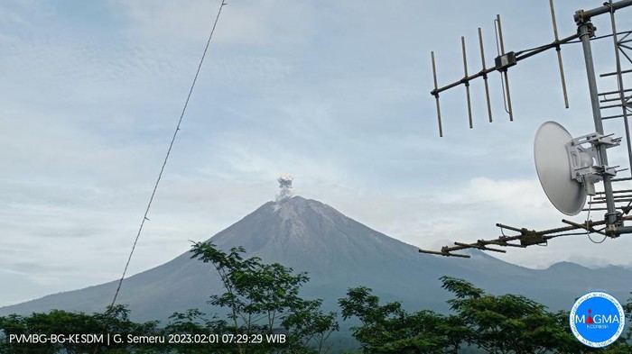 gunung semeru erupsi pukul 07.29 WIB, Rabu (1/2/2023)