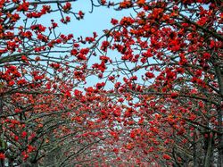 Karya Spektakuler Juara Kontes Foto Budapest 2022, Mata Dijamin Terkesima
