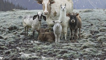 Karya Rob Macinnis.  Foto: budapestfotoawards