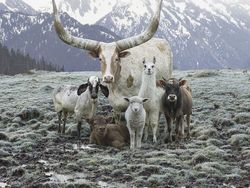 Karya Spektakuler Juara Kontes Foto Budapest 2022, Mata Dijamin Terkesima