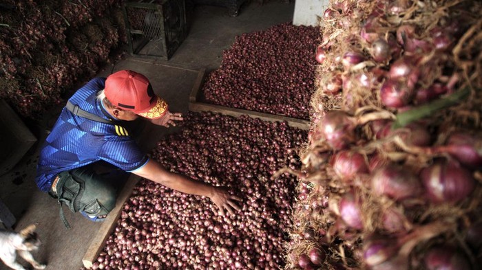 KENAIKAN HARGA BAWANG MERAH Pedagang menata bawang merah di Pasar Sayur, Batu, Jawa Timur, Selasa (31/1/2023). Harga eceran bawang merah secara nasional Rp39.458 per Kg atau naik sekitar 9,33 persen dari harga bawang bulan sebelumnya, hal tersebut diakibatkan terganggunya hasil panen di sejumlah lahan pertanian karena dampak cuaca yang tidak menentu. ANTARA FOTO/Irfan Sumanjaya/Zk/hp.