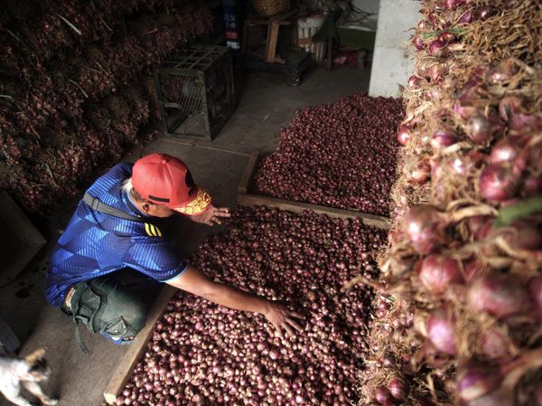 Harga Bawang Merah Kembali Naik
