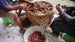 Harga Bawang Merah Kembali Naik