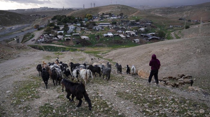 Bedouin shepherd leads her goats at the hamlet of Khan al-Ahmar in the West Bank, Tuesday, Jan. 31, 2023. The long-running dispute over the West Bank Bedouin community of Khan al-Ahmar, which lost its last legal protection against demolition four years ago, resurfaced this week as a focus of the frozen Israeli-Palestinian conflict. Israel's new far-right ministers vow to evacuate the village as part of a wider project to expand Israeli presence in the 60% of the West Bank over which the military has full control. Palestinians seek that land for a future state. (AP Photo/Oded Balilty)
