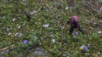 Bagian Sungai Martapura di Kota Banjarmasin kembali menghadapi serbuan sampah.