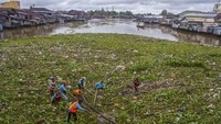 Petugas dari Dinas PUPR Kota Banjarmasin membersihkan tumpukan sampah yang menutupi Sungai Martapura di Banjarmasin, Kalimantan Selatan, Rabu (1/2/2023). Sampah kiriman dalam dua hari terakhir dari hulu sungai akibat intensitas hujan yang tinggi tersebut menyebabkan arus lalu lintas transportasi sungai terganggu.