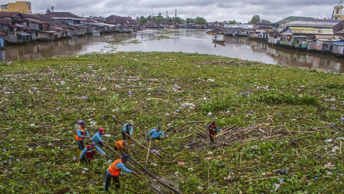 Petugas Bersihkan Sungai Martapura yang Tertutup Tumpukan Sampah Sejumlah petugas dari Dinas PUPR Kota Banjarmasin membersihkan tumpukan sampah yang menutupi Sungai Martapura di Banjarmasin, Kalimantan Selatan, Rabu (1/2/2023). Sampah kiriman dalam dua hari terakhir dari hulu sungai akibat intensitas hujan yang tinggi tersebut menyebabkan arus lalu lintas transportasi sungai tersebut terganggu.