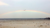 Usai hujan lebat yang mengguyur di panatai al-Sulaibaykhat, Kuwait, pelangi langsung muncul dengan pesonanya yang indah. Lanskap ini dipotret pada 14 Januari 2023 lalu. Yaseer Al-Zayyat/AFP via Getty Images