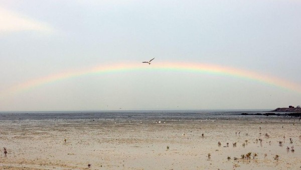 Usai hujan lebat yang mengguyur di panatai al-Sulaibaykhat, Kuwait, pelangi langsung muncul dengan pesonanya yang indah. Lanskap ini dipotret pada 14 Januari 2023 lalu. Yaseer Al-Zayyat/AFP via Getty Images Usai hujan lebat yang mengguyur di panatai al-Sulaibaykhat, Kuwait, pelangi langsung muncul dengan pesonanya yang indah. Lanskap ini dipotret pada 14 Januari 2023 lalu. Yaseer Al-Zayyat/AFP via Getty Images
