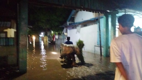 Banjir di Dompu tak hanya merendam puluhan rumah warga di empat kecamatan. Tapi juga, 30 hektare sawah yang baru ditanami padi.