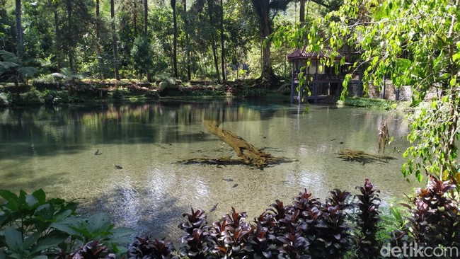 Legenda Ikan Sengkaring Penunggu Sumber Air Rambut Monte Blitar Legenda Ikan Sengkaring Penunggu Sumber Air Rambut Monte Blitar