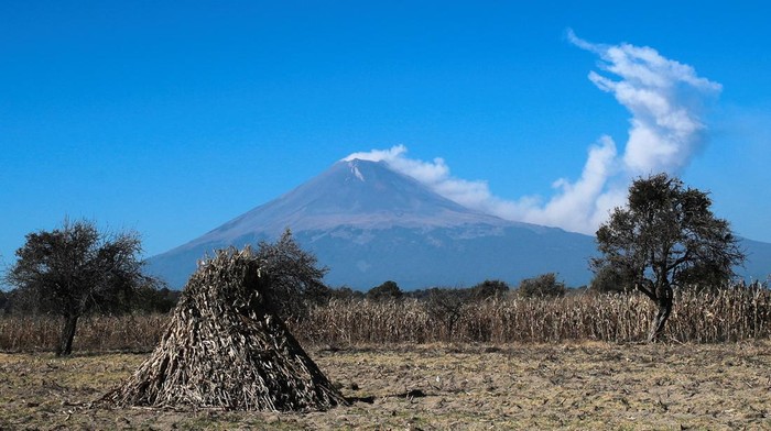 Gunung Berapi Paling Berbahaya di Meksiko Semburkan Abu Vulkanik A resident leads horses carrying branches along the streets as a column of steam emerging from Popocatepetl volcano is seen in the background, after an increase in volcanic activity with steam and ash eruptions have been registered recently, according to local media, as seen from San Nicolas de Los Ranchos municipality, in the state of Puebla, Mexico February 1, 2023. REUTERS/Henry Romero