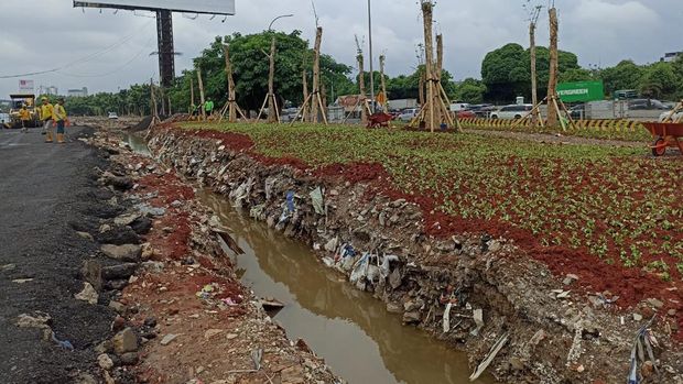 Heru Budi Tata Jalur Hijau Pejagalan Sisi Tol Bandara Jelang KTT ASEAN (Tiara/detikcom)