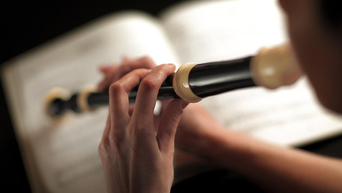 Ilustrasi Recorder Alat musik recorder.