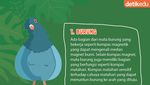 Infografis: Hewan yang Memanfaatkan Kemagnetan Bumi untuk Melakukan Navigasi