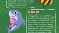 Foto: Infografis (Fauzan Kamil/detikcom)