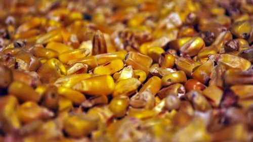 Ilustrasi kuantitas.