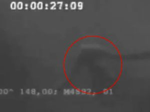 Antartika Jadi Tempat Hidup Monster Misterius Ningen?