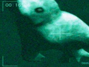 Ningen, Duyung Ciptaan Ilmuwan Jepang yang Kini Jadi Misteri