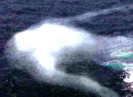 Ningen