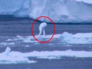 Benarkah Monster Misterius Ningen Hidup di Antartika yang Beku?