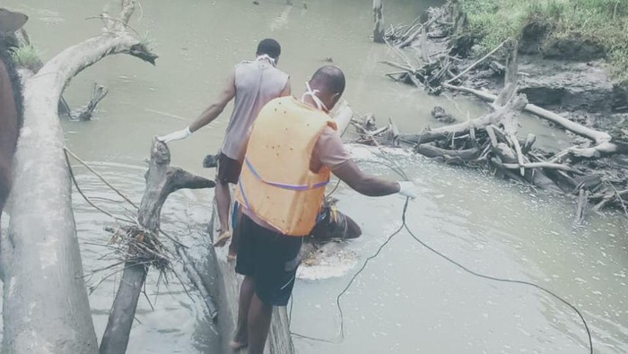 Satu anggota polisi yang hanyut di Sungai Digoel, Pegunungan Bintang, Papua Pegunungan kembali ditemukan.