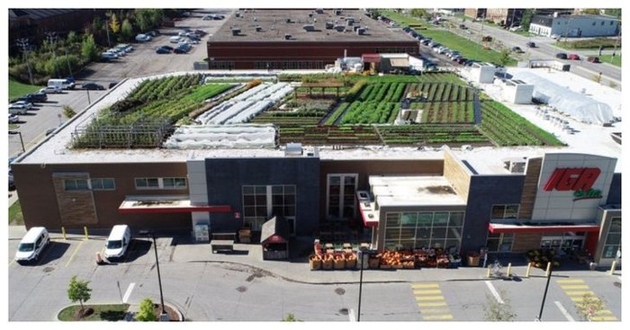 Supermarket unik Supermarket unik