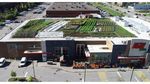 10 Supermarket dengan Konsep Unik, Punya Kebun hingga Mirip Museum