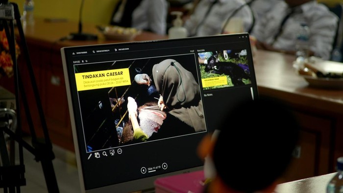 Foto tangkapan layar video proses persalinan caesar Anoa (Buballus sp) yang melahirkan anakan Anoa bernama Raden di Anoa Breeding Center (ABC/Pusat Pengembangbiakan Anoa) Balai Penerapan Standar Instrumen Lingkungan Hidup dan Kehutanan (BPSILHK), Manado, Sulawesi Utara, Kamis (2/2/2023). Raden merupakan anakan Anoa pertama yang berhasil dilahirkan melalui operasi caesar pada 16 Januari 2023 lalu, dan menambah total jumlah populasi Anoa di ABC-BPSILHK menjadi sembilan ekor yang terdiri dari empat jantan dan lima betina. ANTARA FOTO/Adwit B Pramono/foc.