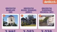 Foto: Infografis (Zaky Alfaraby/detikcom)