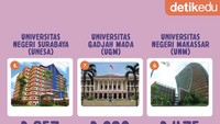 Foto: Infografis (Zaky Alfaraby/detikcom)