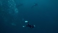Guerin-Boeri dapat berenang lebih dari 100 meter di bawah air dan menahan napas selama beberapa menit. Penyelamannya kali ini memakan waktu sekitar 30 detik.