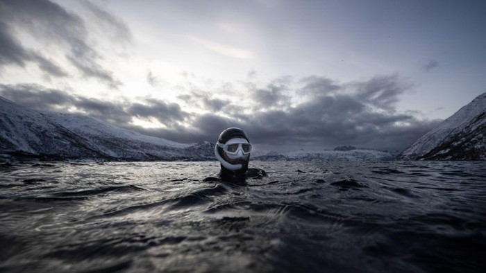 Five times freediving World Champion France's Arthur Guerin-Boeri swims next to an Orca's (Killer Whales) in the Arctic Ocean in the Spildra Island northern Arctic Circle, on January 27, 2023. - Arctic Atlantic ocean is at +3C as the air temperature is -4C at this time of the year during the polar nights. (Photo by Olivier MORIN / AFP) (Photo by OLIVIER MORIN/AFP via Getty Images)