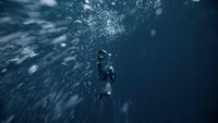 Guerin-Boeri merupakan pemegang beberapa rekor dunia dalam menyelam bebas di bawah es. Penyelam Prancis itu menarik napas dalam-dalam dan terjun lebih dari 15 meter melalui perairan es Kvaenangen Fjord untuk menyaksikan paus, yang datang ke daerah tersebut untuk berburu ikan haring.