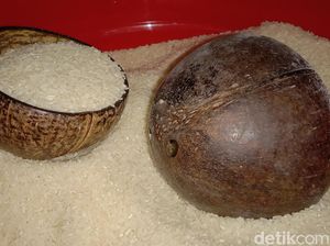Bentuk dan Fungsi Batok Eter, Penakar Beras Tradisional Warga Indramayu