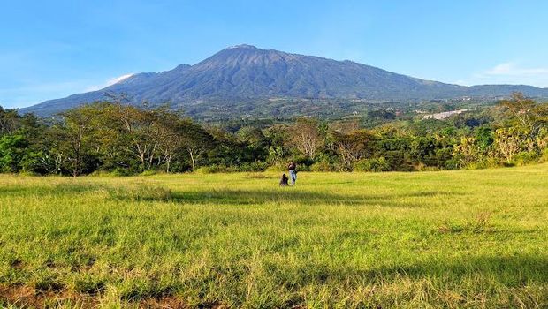 Bukit Teletubbies Malang