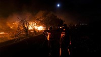 Api tampak terus membesar membakar semak di kawasan Quilmo, Chili. Reuters/Jose Carvajal.