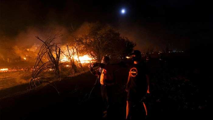 Kobaran Hutan di Chile Kebakaran melanda hutan di Chili.