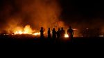 Penampakan Kobaran Api Lalap Hutan di Chili