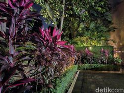 Hasil Foto Galaxy S23 Ultra di Malam Hari Bikin Terpana